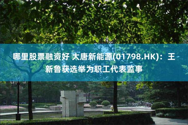 哪里股票融资好 大唐新能源(01798.HK)：王新鲁获选举为职工代表监事