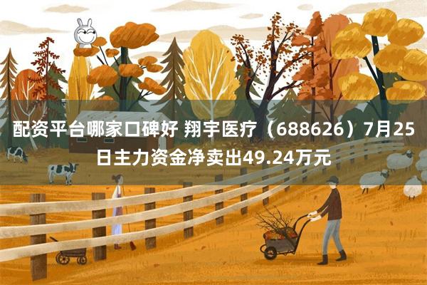 配资平台哪家口碑好 翔宇医疗（688626）7月25日主力资金净卖出49.24万元