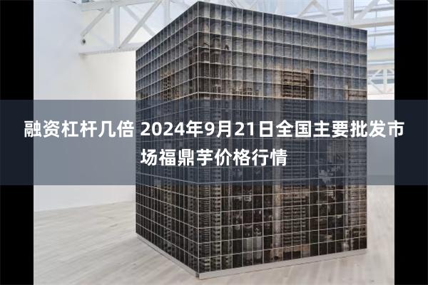 融资杠杆几倍 2024年9月21日全国主要批发市场福鼎芋价格行情