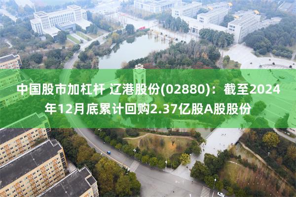 中国股市加杠杆 辽港股份(02880)：截至2024年12月底累计回购2.37亿股A股股份